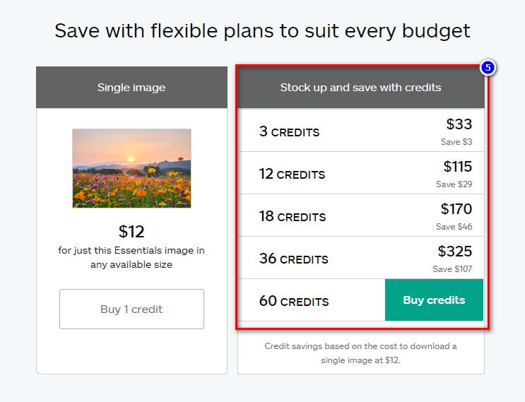 Ultimate Guide on What is iStock Watermark and How to Remove it