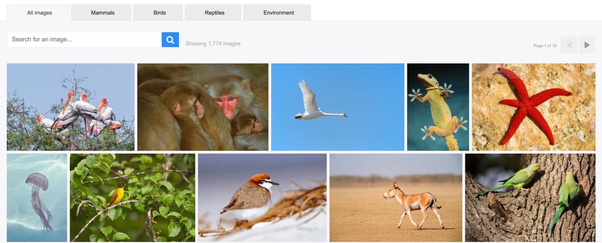 Alamy Portfolio  promote your collection to the world  Alamy Blog
