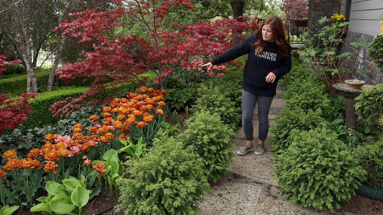 Tour of My Parents Garden May 2020 Garden Answer YouTube