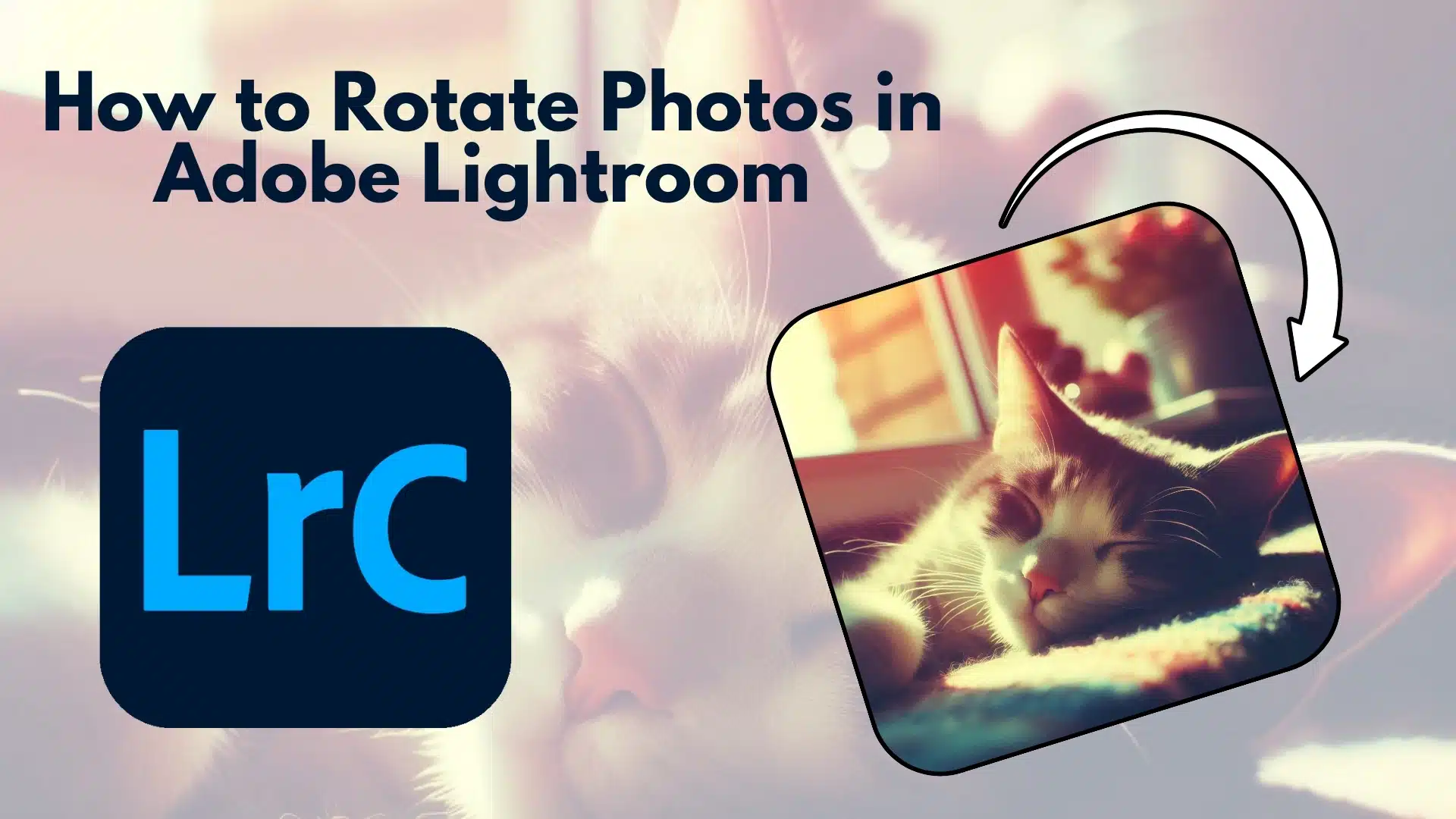 How to Rotate Image in Adobe Lightroom for Perfect Alignment