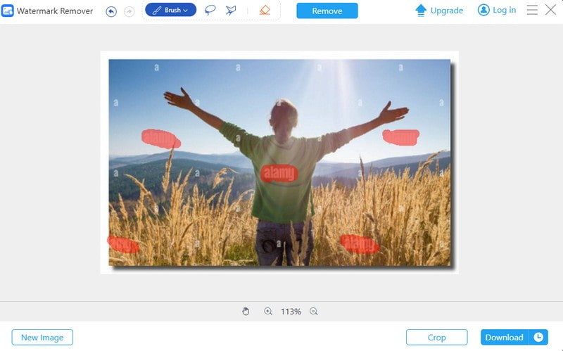 Best Alamy Watermark Remover Tools Review for 2025
