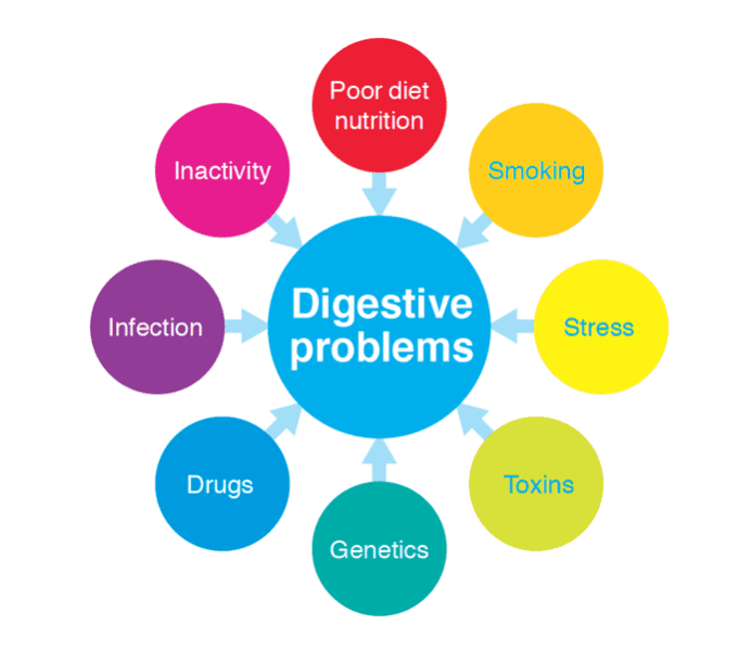 About our Digestive System Canadian Digestive Health Foundation