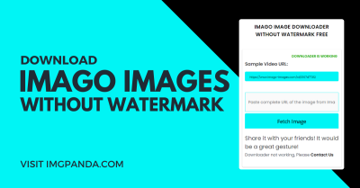 Why Every Blogger Needs Imago Images as Their Ultimate Visual Resource