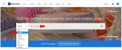 how to download file from adobe stock image