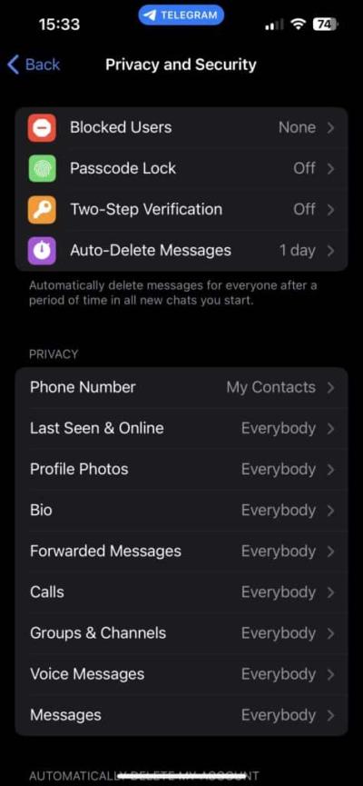 Can Telegram Be Tracked? Exploring Privacy and Tracking Risks