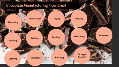 How Dairy Milk Chocolate is Made in a Factory: A Dailymotion Insight