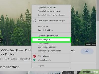 how to download all images from a site