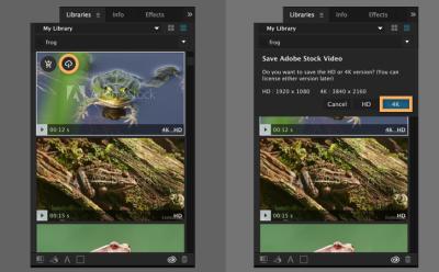 how to download adobe stock videos for free