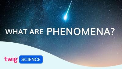 Can You Feel the Rumble? Exploring the Science Behind the Phenomenon
