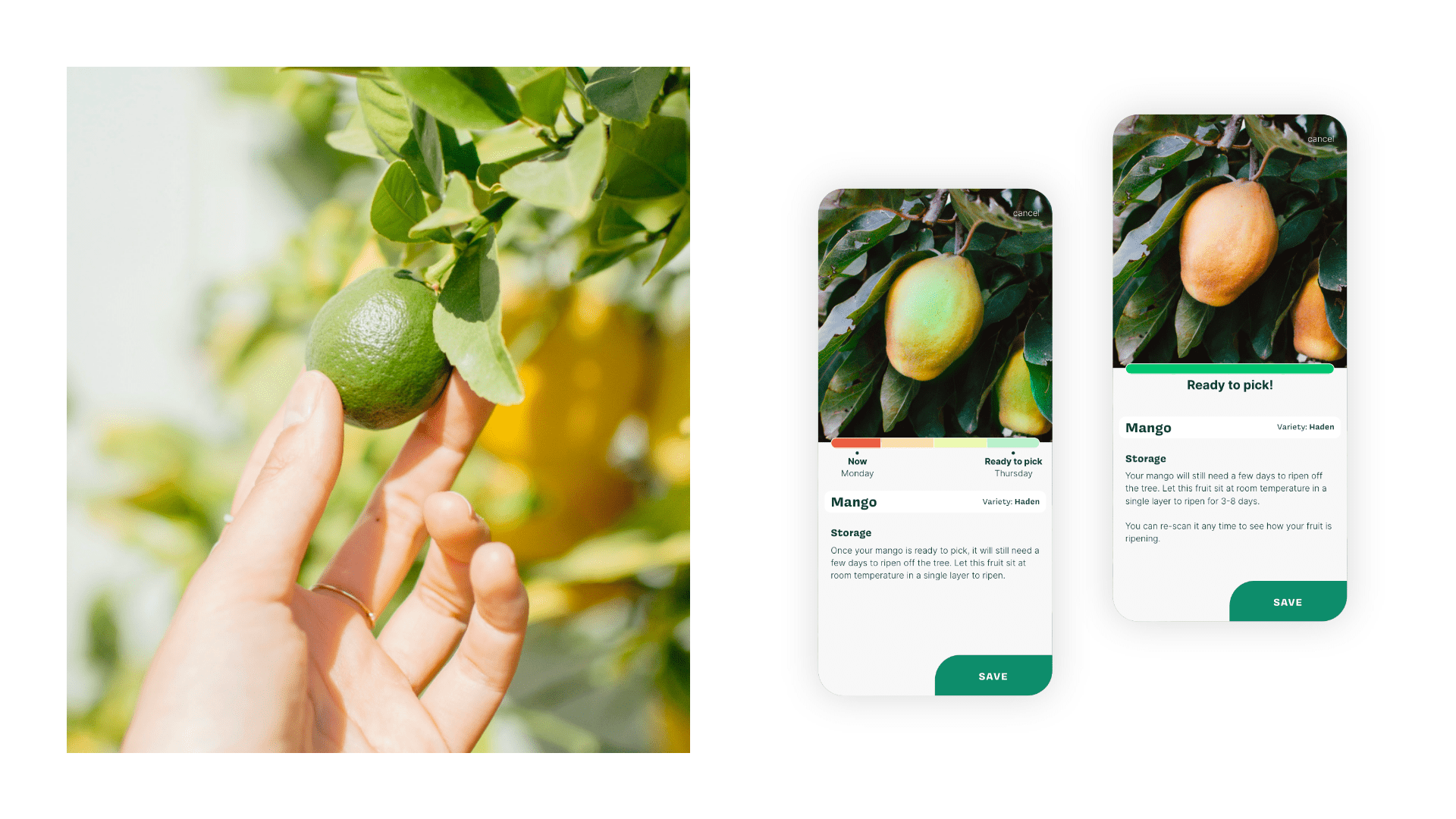 Behance Project Template Behance