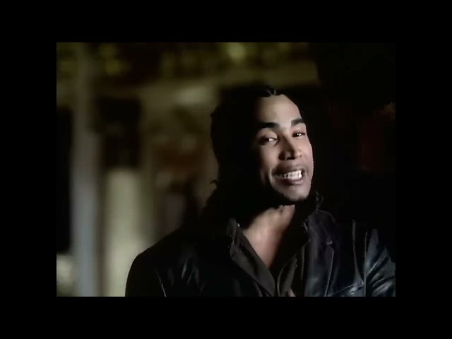 Don Omar Cancin De Amor Letra y Videos Musicales