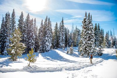 Seasonal Marketing Made Easy with Stunning Seasonal Photos from Imago Images