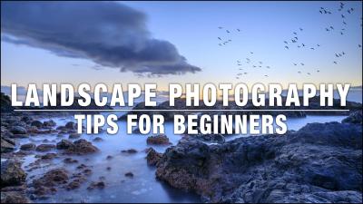 A Beginner’s Guide to Finding the Perfect Images on Alamy