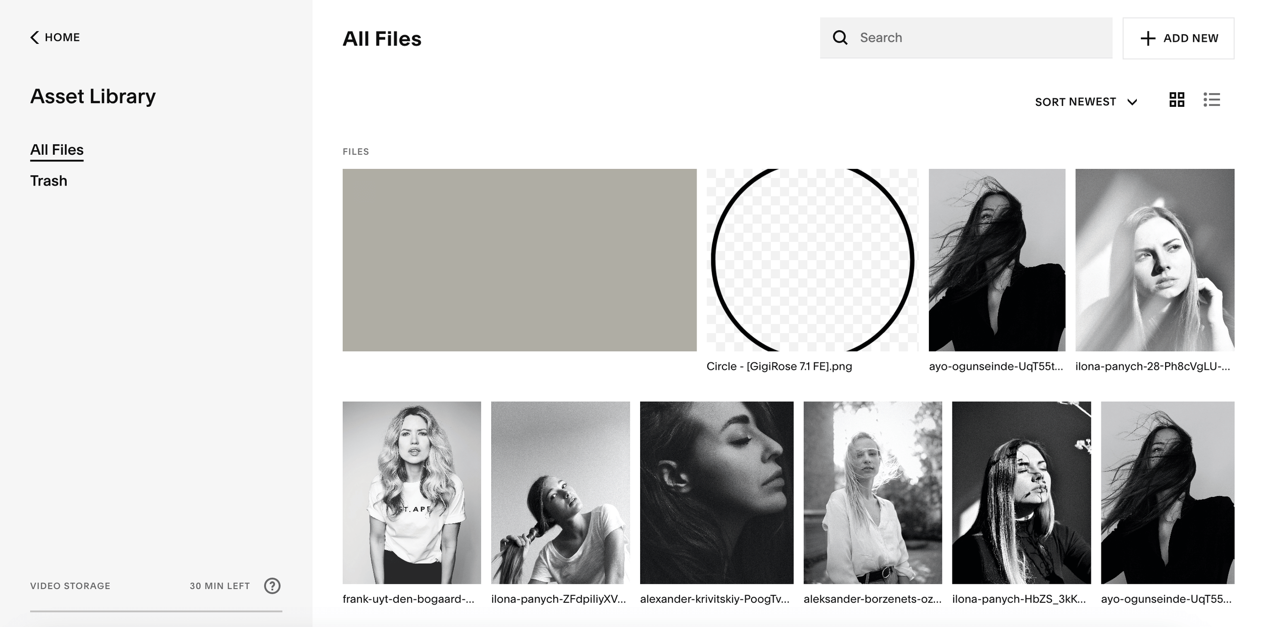 How to manage images and files in Squarespace Your complete guide to