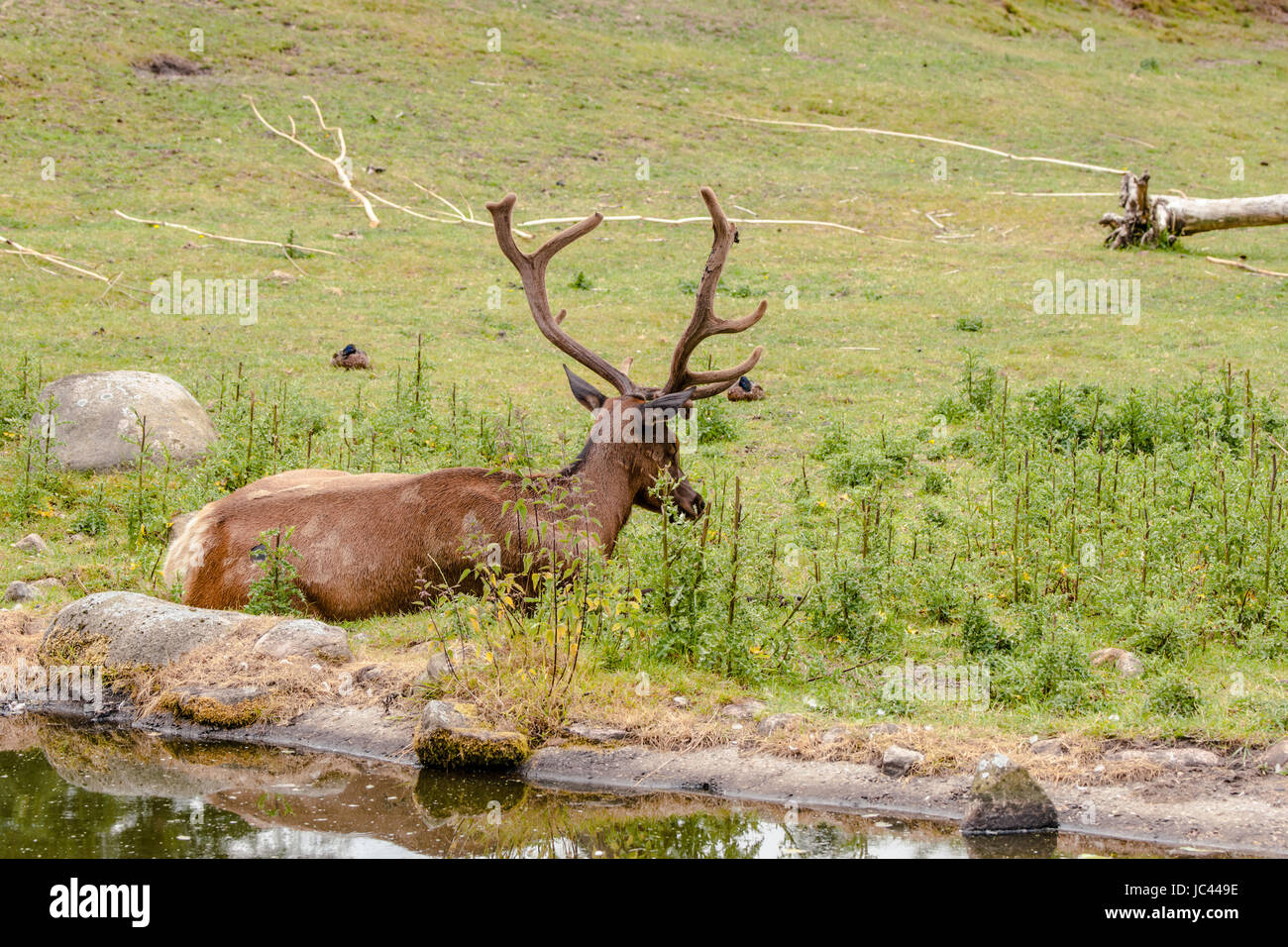 High resolution photo in best quality Stock Photo Alamy