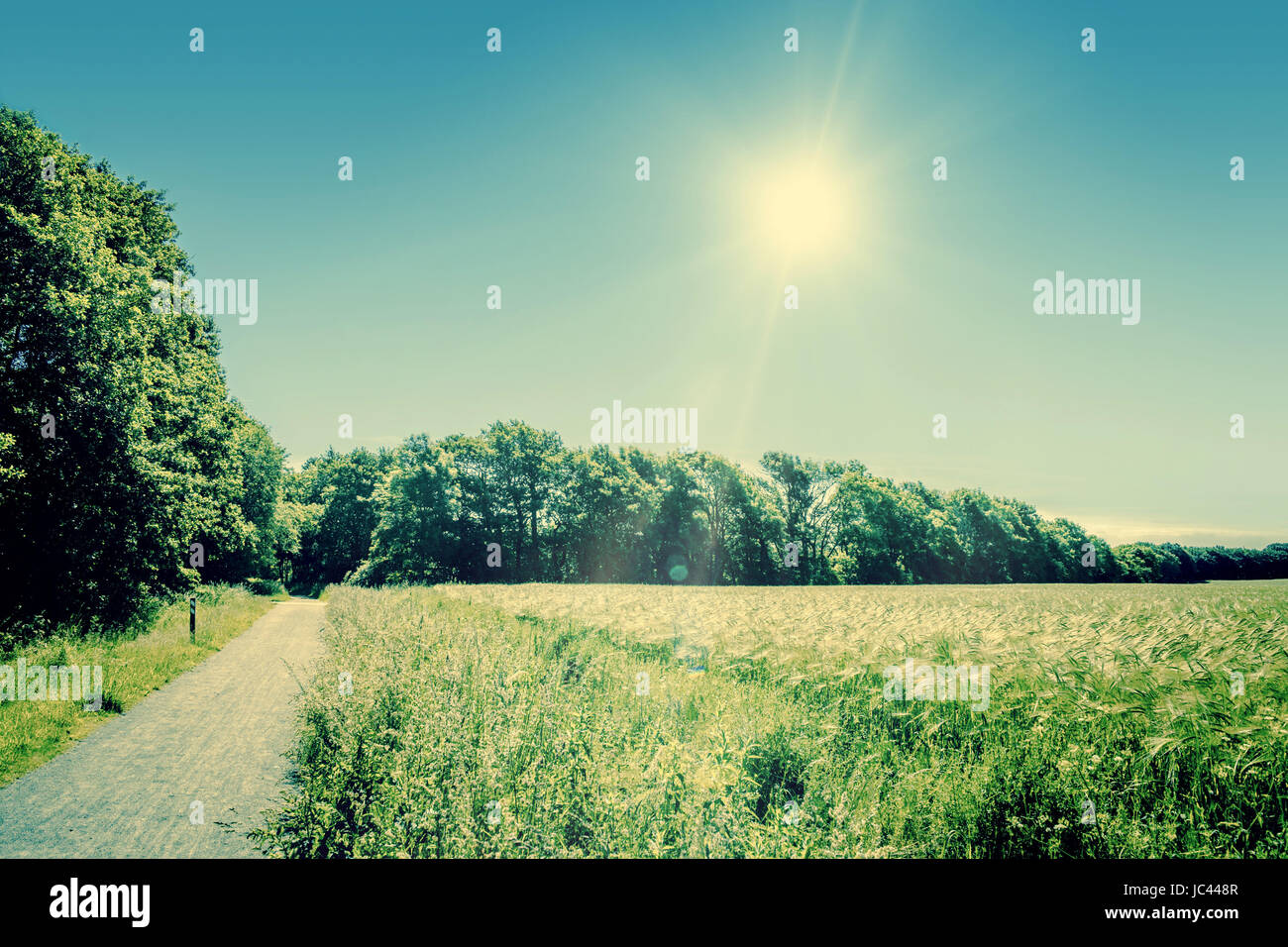 High resolution photo in best quality Stock Photo Alamy