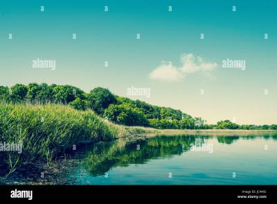 Why Alamy Is a Top Choice for High-Quality Stock Photos