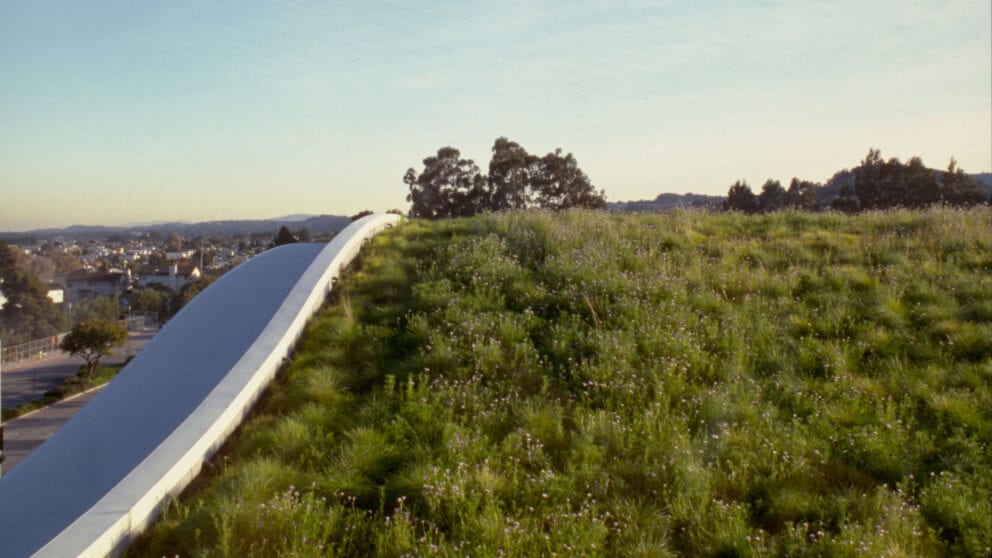 YouTube Headquarters William McDonough Partners