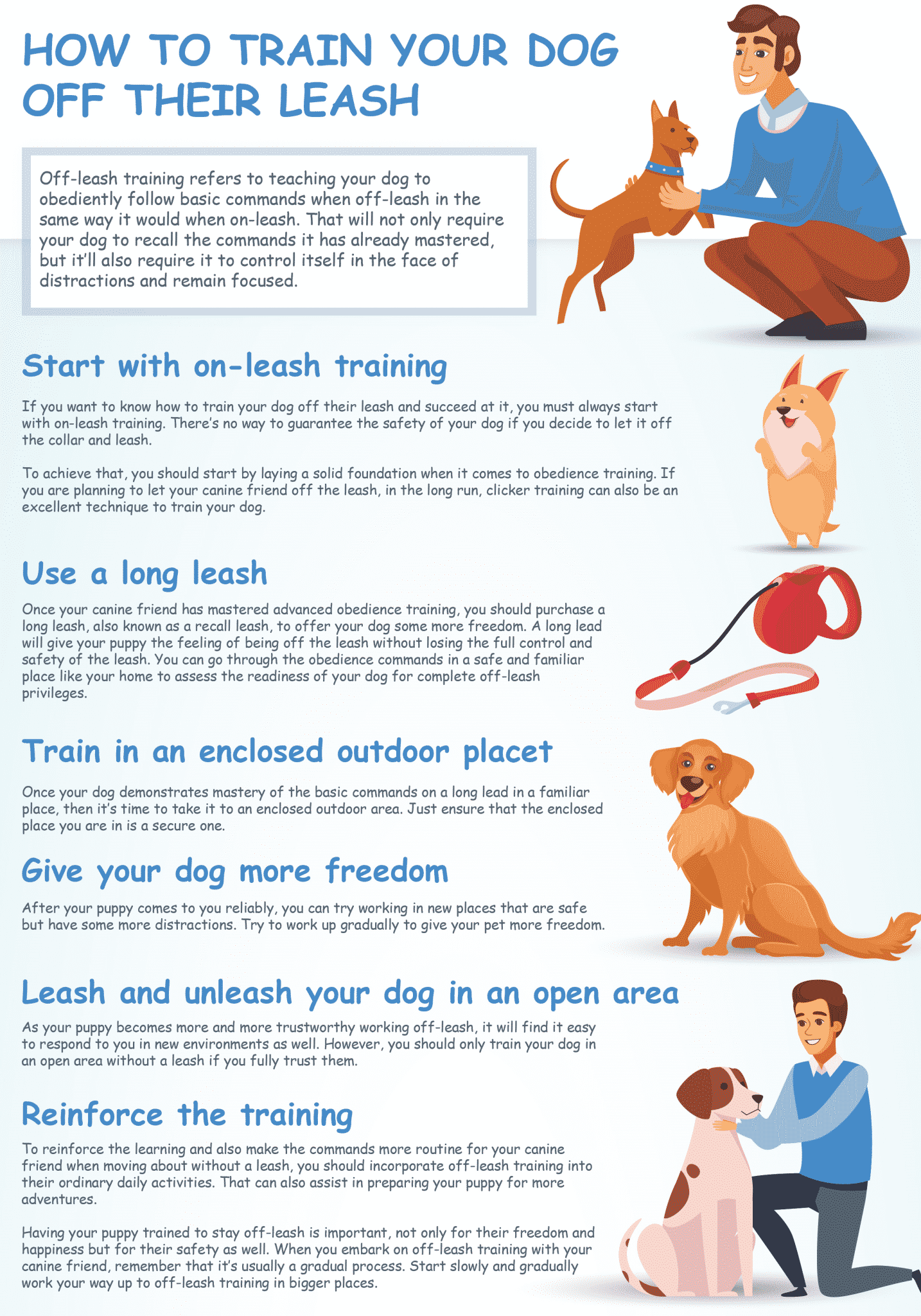 Dog Training 101 How to Properly Train Your Dog
