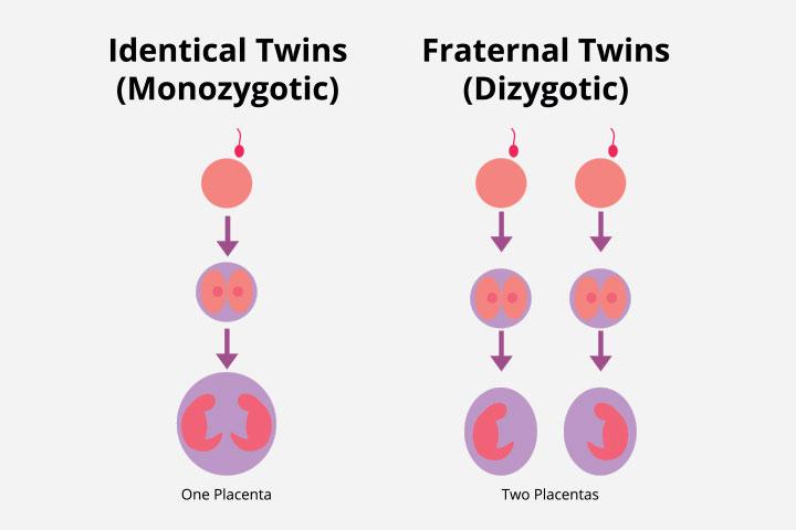 How To Have Twins Sex Positions Treatment And Tips To Try