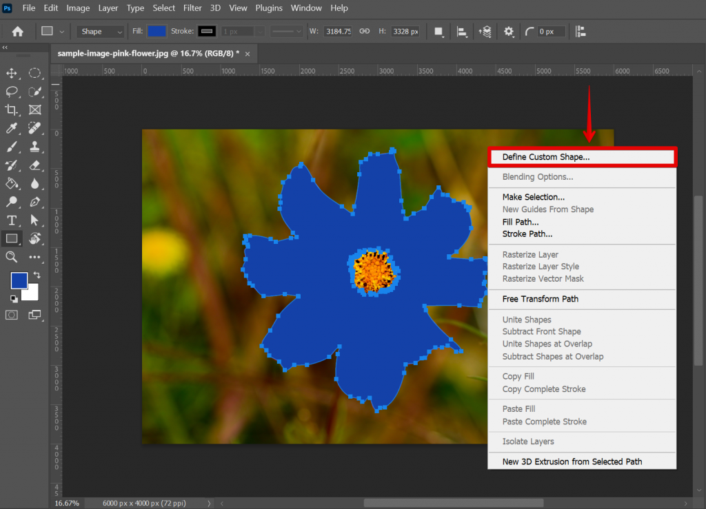 Can You Turn a Selection Into a Shape in Photoshop