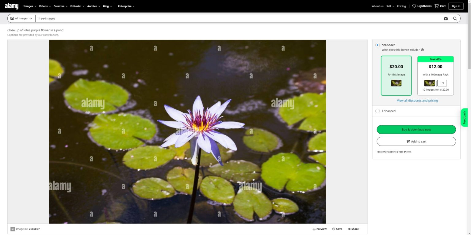 How to Download Alamy Images without Watermark Imaget