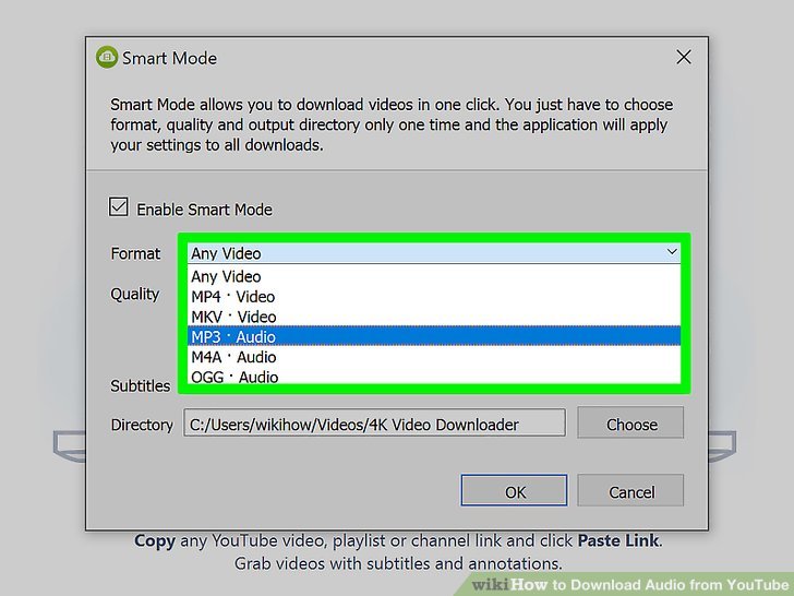 How to Download Audio from YouTube with Pictures wikiHow