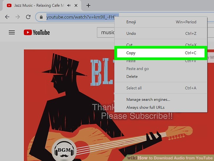 How to Download Audio from YouTube with Pictures wikiHow