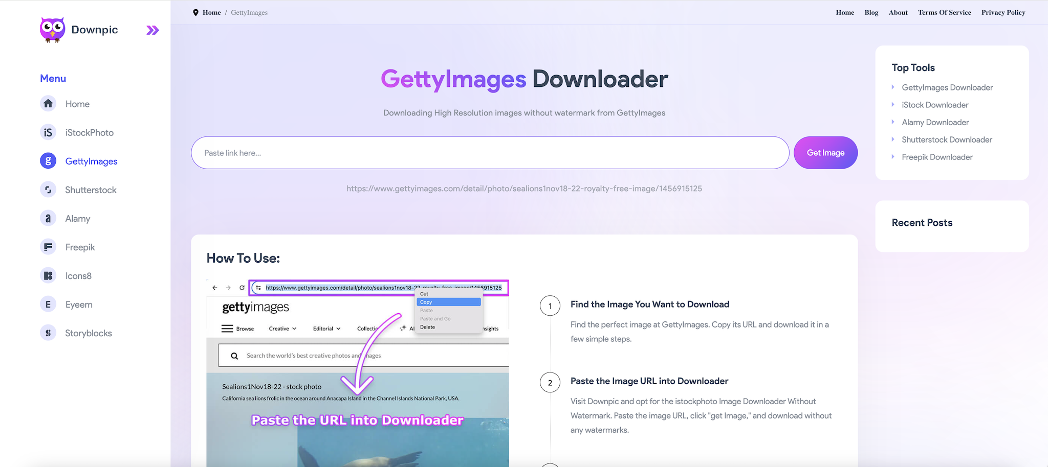 Top 5 Getty Images Downloaders Without Watermark for Free in 2024