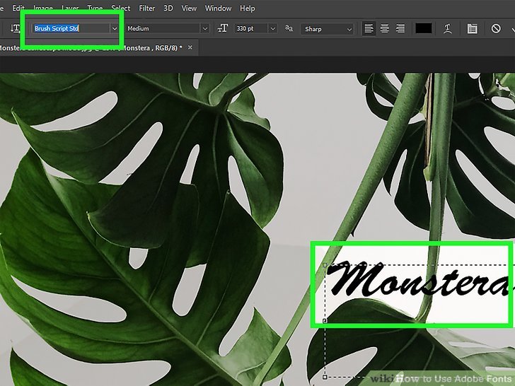 How to Use Adobe Fonts 9 Steps with Pictures wikiHow