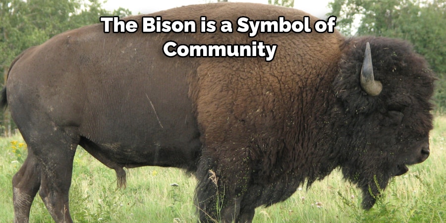 Bison Spiritual Meaning Symbolism and Totem 2022
