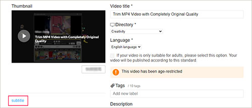 How to Add Subtitles to Dailymotion Videos