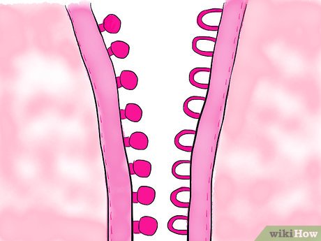 How to Sew a Baby Dress with Pictures wikiHow
