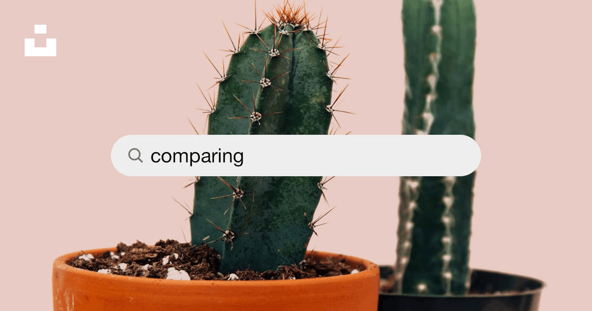 Comparing Pictures Download Free Images on Unsplash
