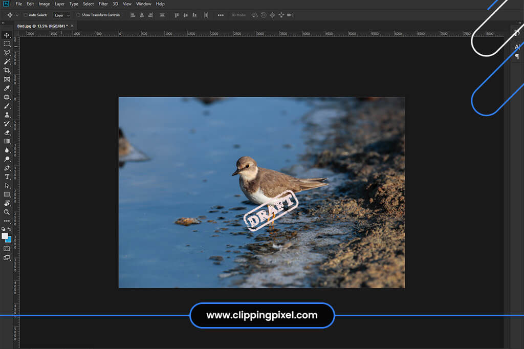 How to Remove Watermark in Photoshop