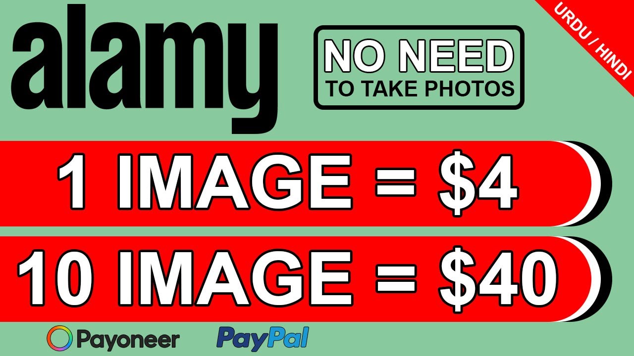 Exploring Alamy: How It Works for Buyers and Contributors