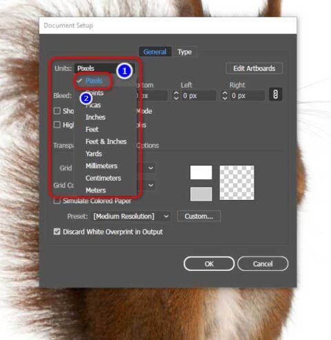 How to Convert Images to 300 dpi Clipping Photo Experts