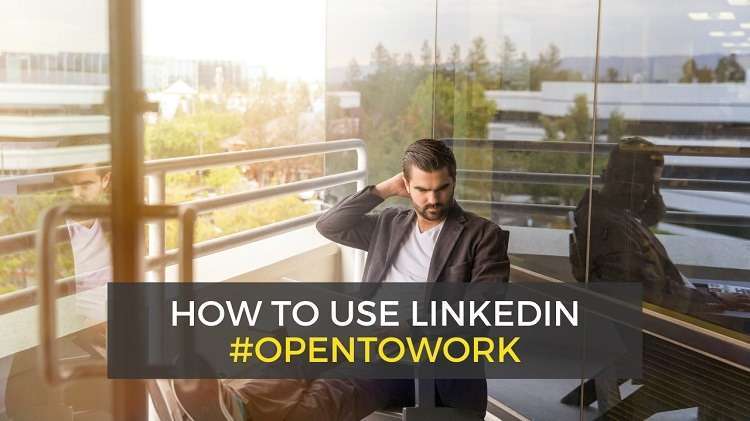 LinkedIn Open to Work Meaning How to Use 2022