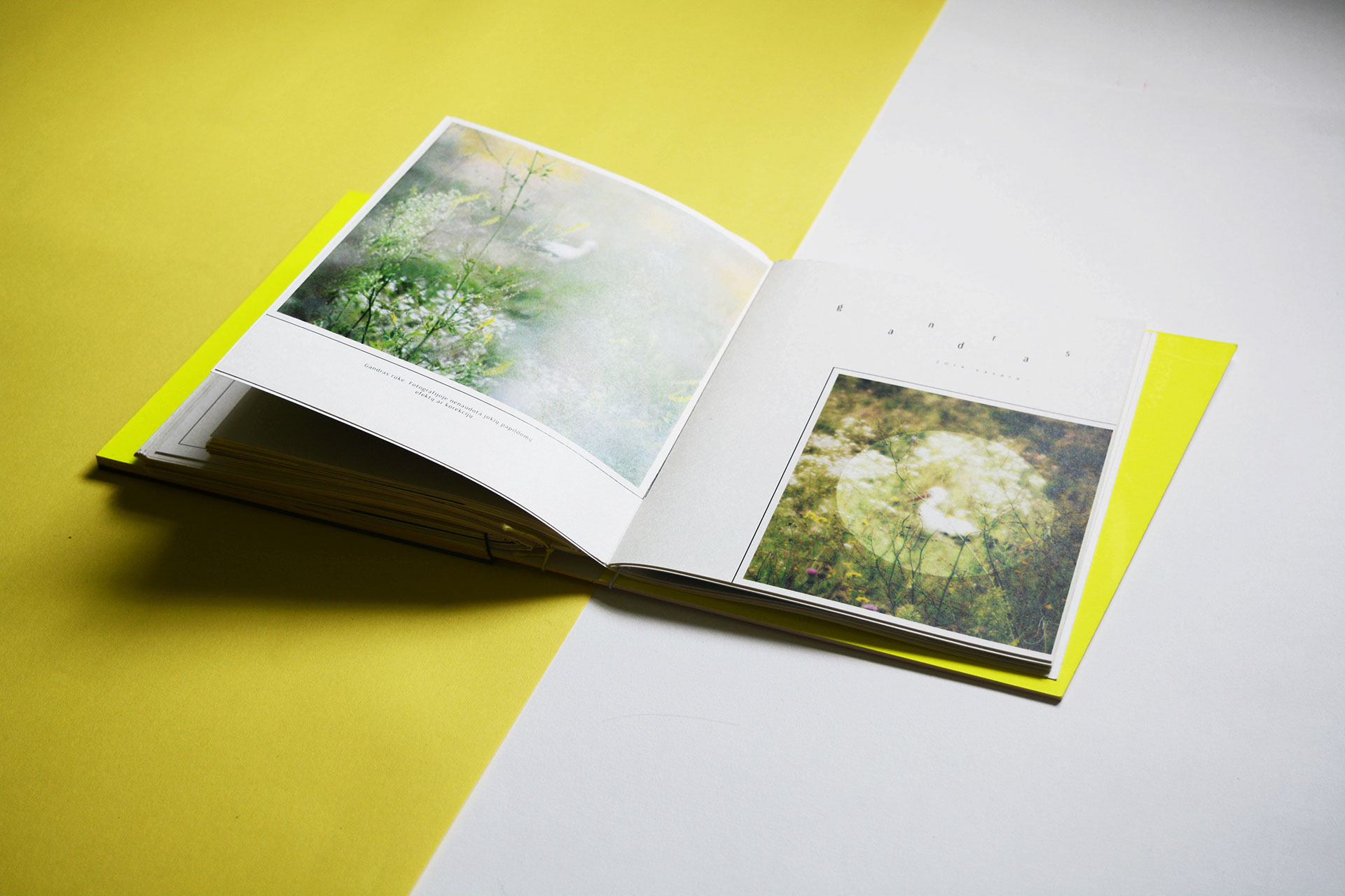 Portfolio on Behance
