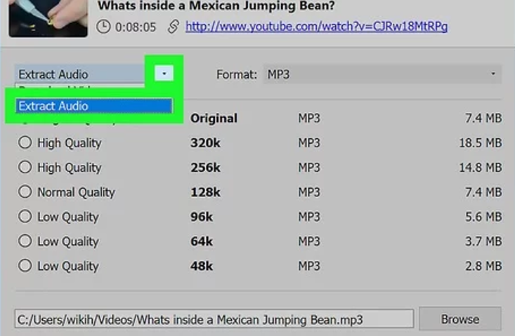 How to Download YouTube Videos Mp3 Audio Y2mate