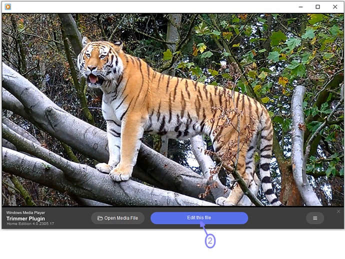 How to delete commercials from movie or TV program