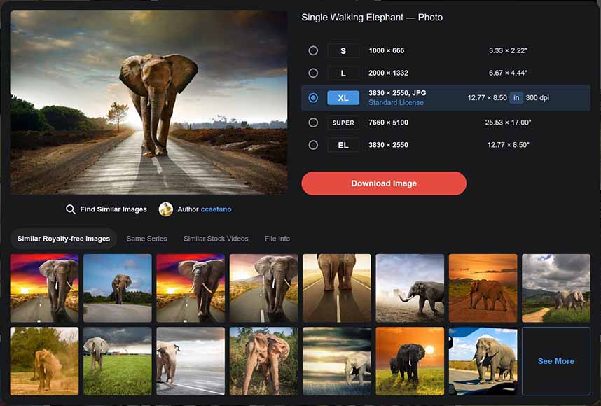 A Comprehensive Overview of Depositphotos