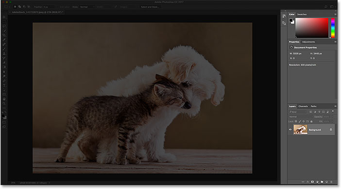 Getting to know the Photoshop Interface