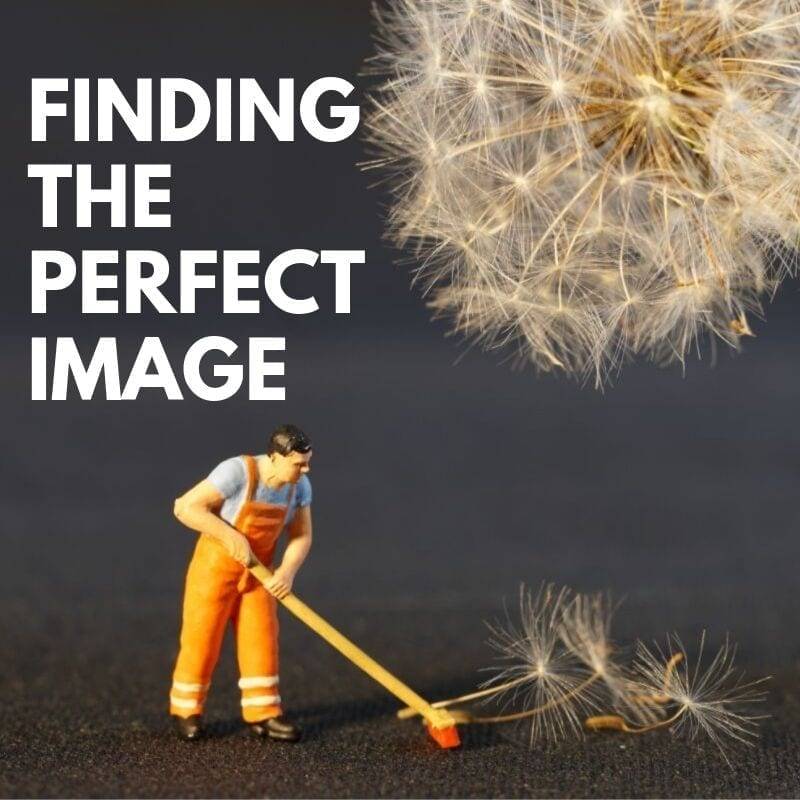 Mastering the Search for Perfect Photos Using Imago Images' User-Friendly Platform