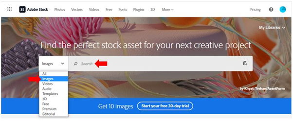 Using Adobe Stock Features and Tips LTE Online
