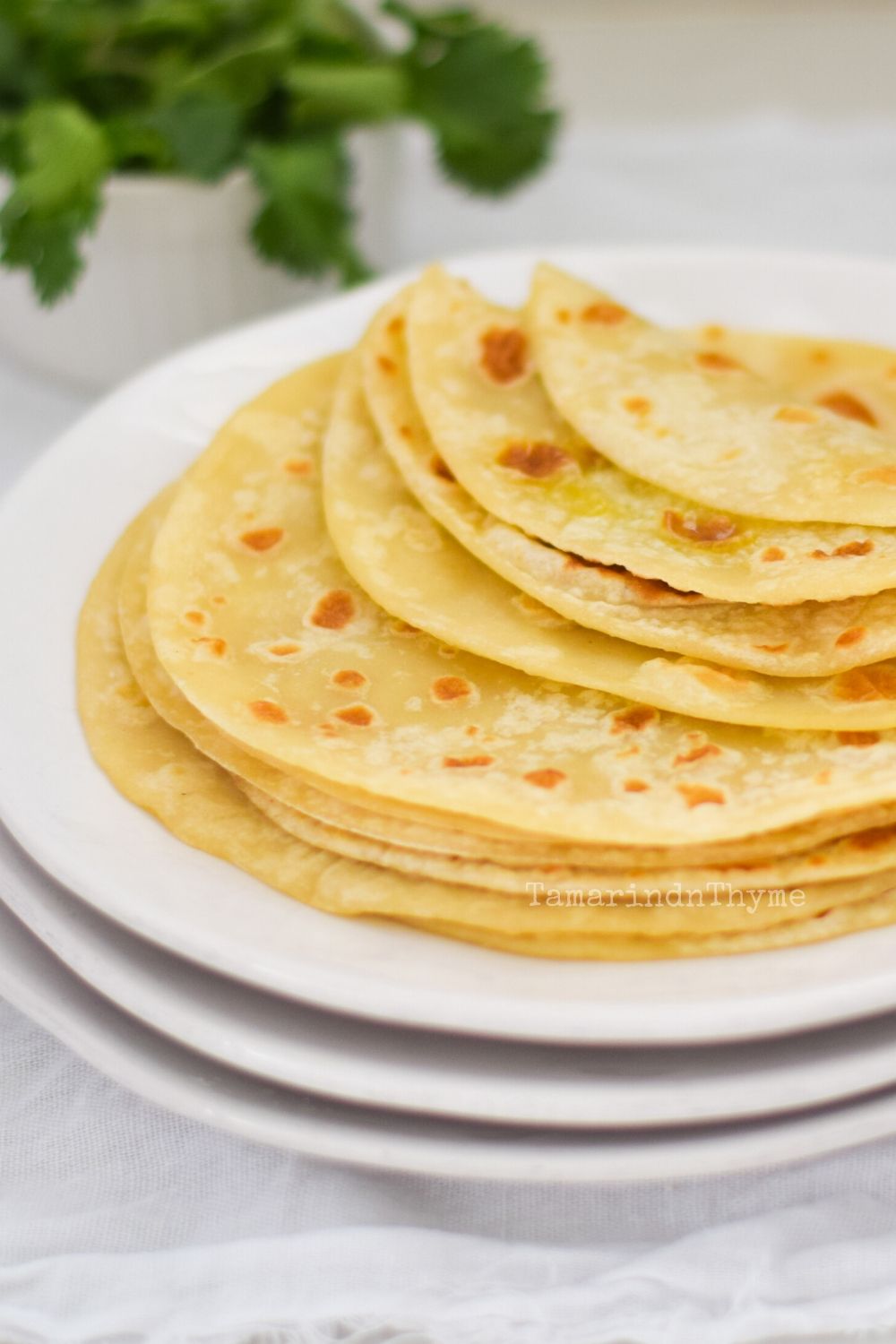 Homemade Roti Recipe