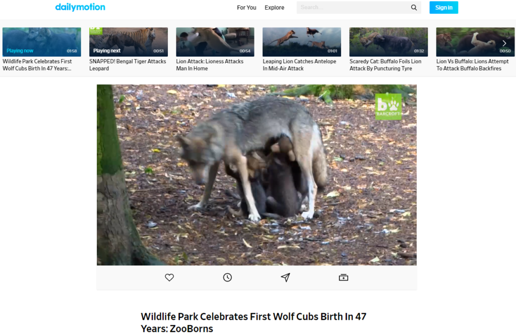 Upload Your Videos To Dailymotion Online file conversion blog