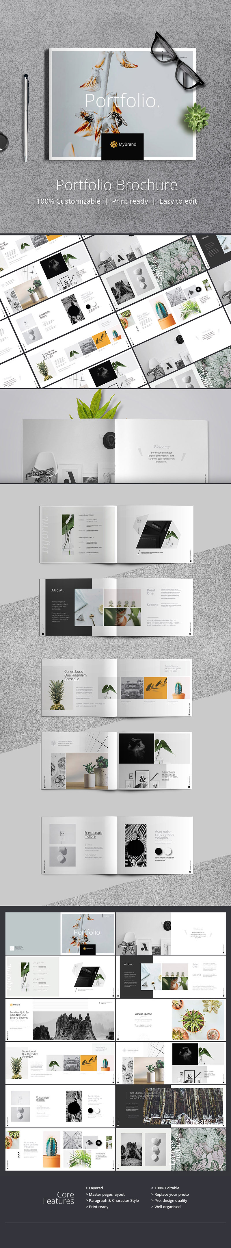 Behance Portfolio