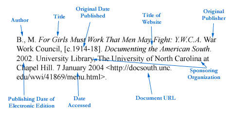 Detailed MLA Citation for an Image
