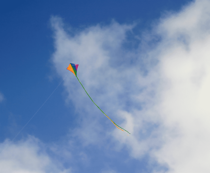 How To Fly A Kite In Low Wind Fool Proof Guide